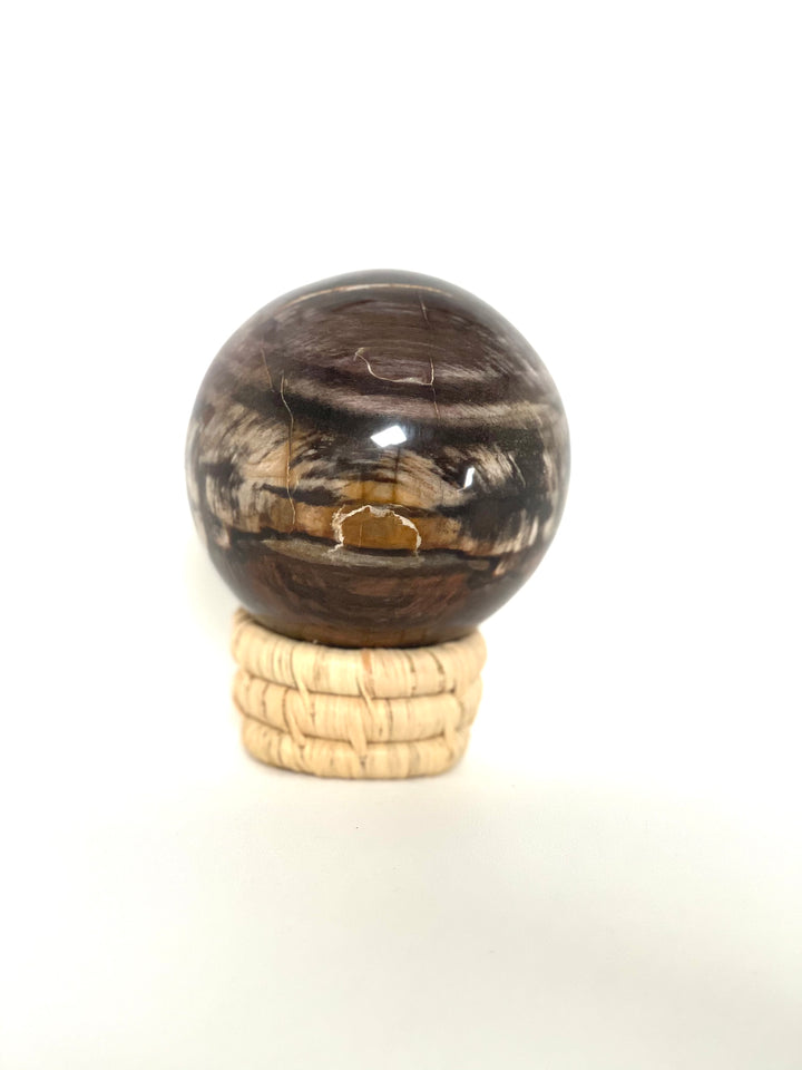 Petrified Wood Sphere - Large Multicoloured