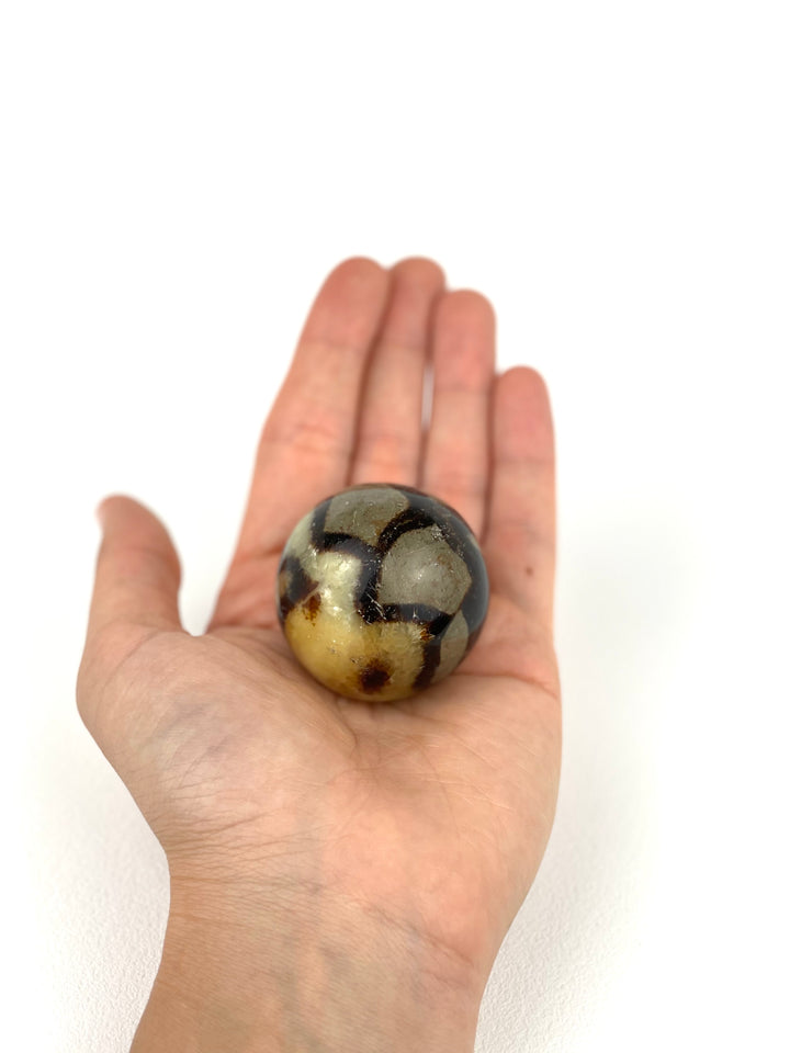 Septarian Sphere - Small