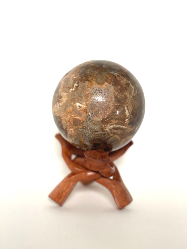 Petrified Wood Sphere - Nature Tones