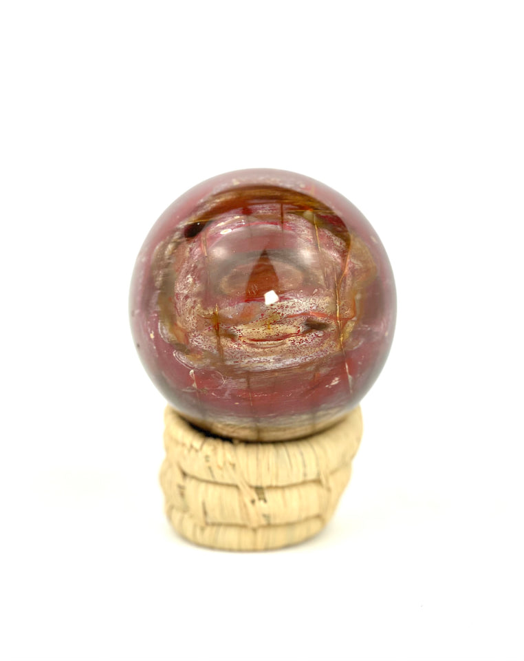 Petrified Wood Sphere