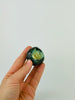 Labradorite - Palm Stone