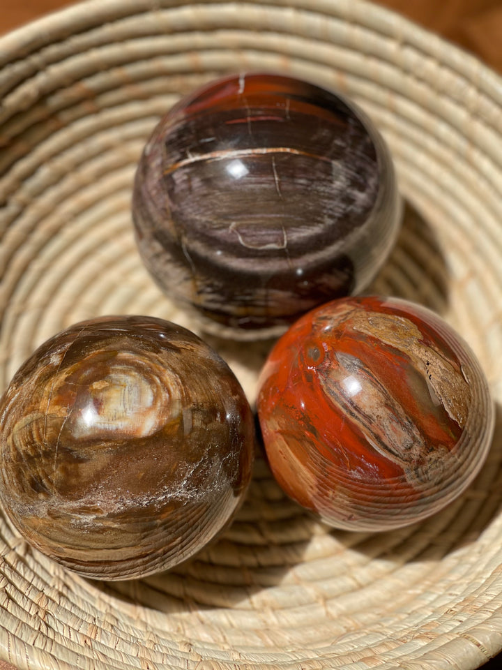 Petrified Wood Sphere - Fire Red