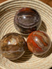 Petrified Wood Sphere - Fire Red