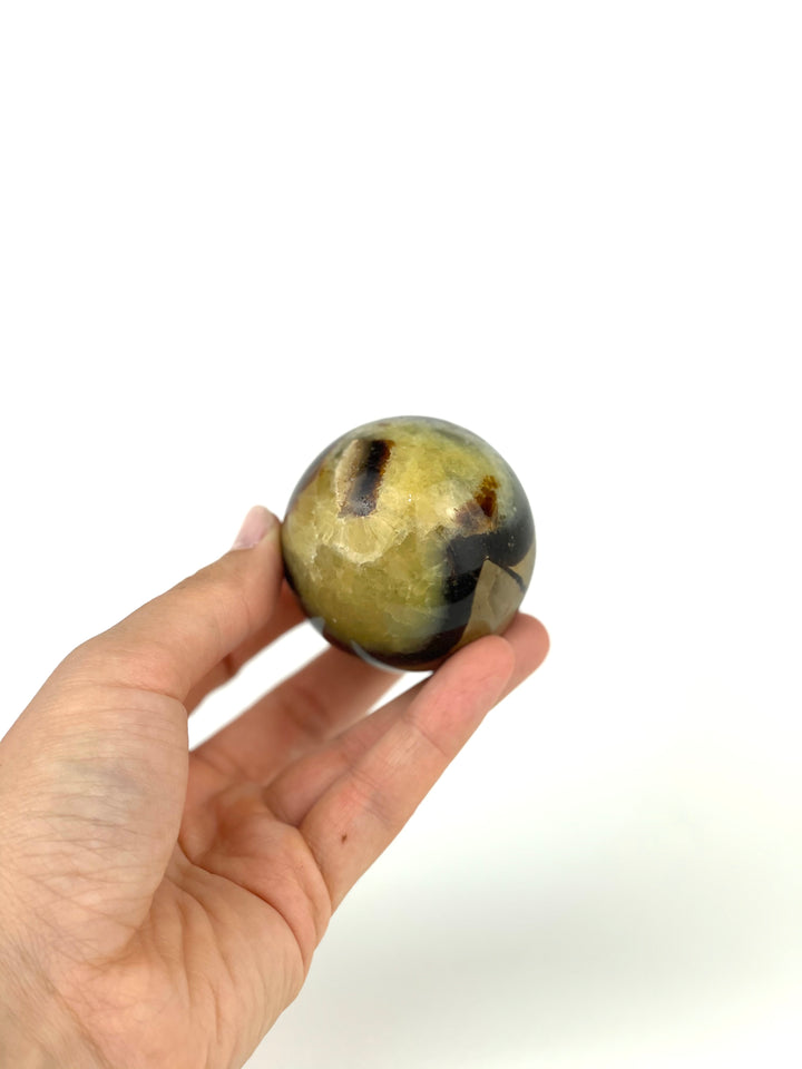 Septarian Sphere - Small