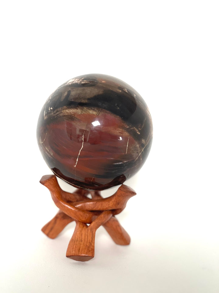 Petrified Wood Sphere - Large Multicoloured
