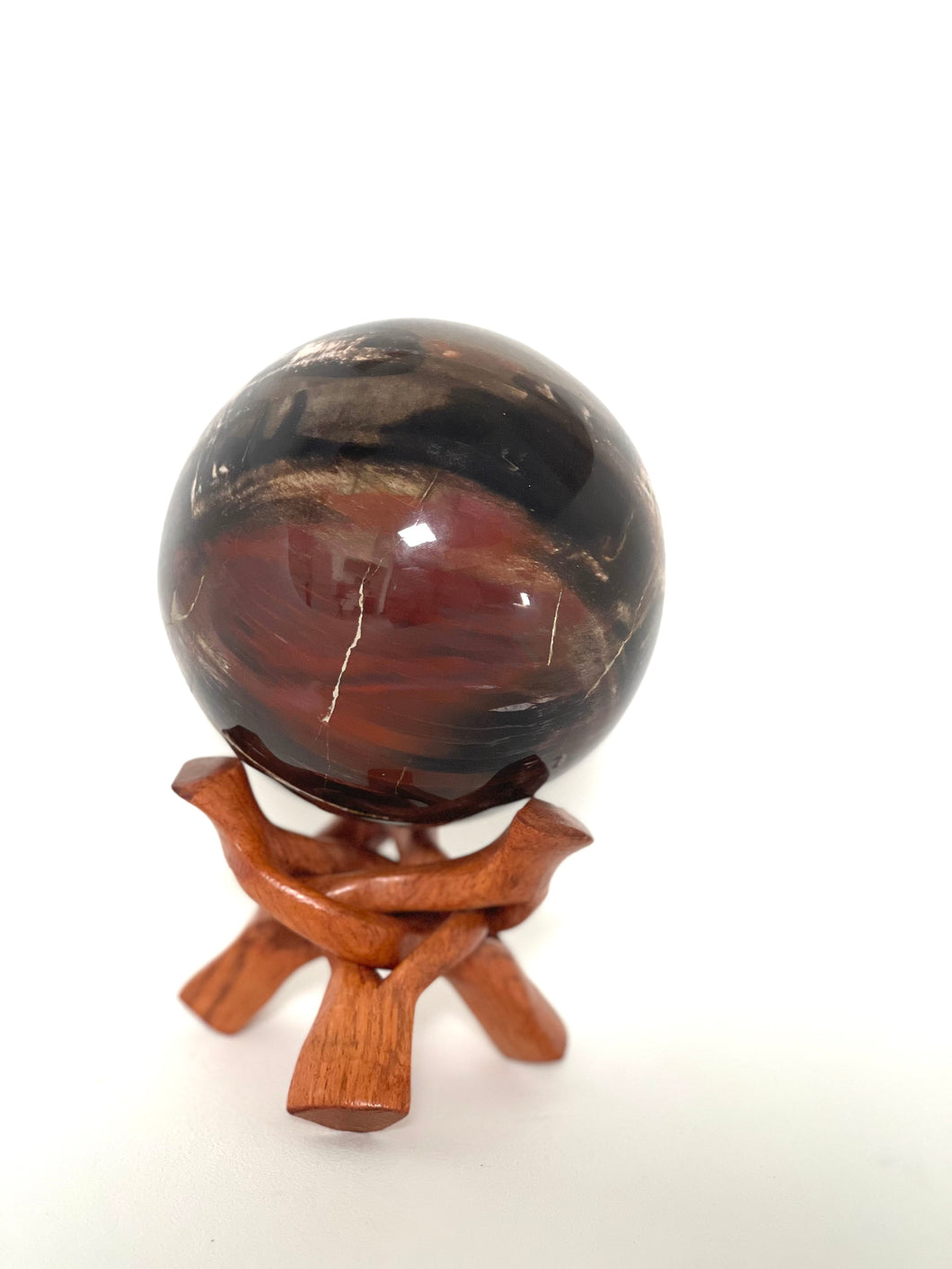 Petrified Wood Sphere - Large Multicoloured