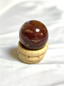 Petrified Wood Sphere