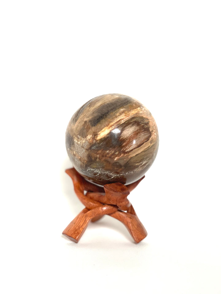 Petrified Wood Sphere - Nature Tones